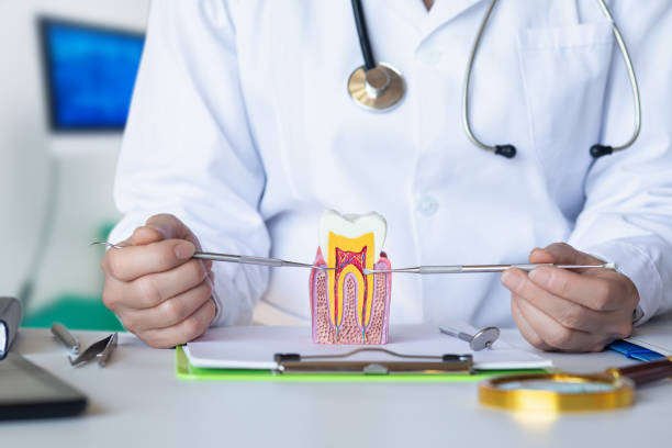 Best Walk-In Emergency Dentist in Sheridan, CA